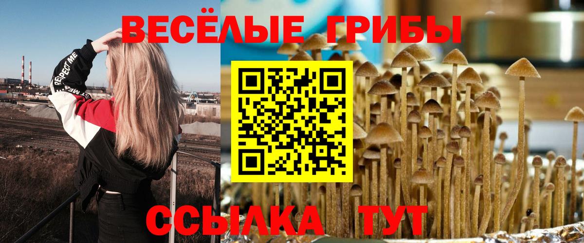 Галлюциногенные грибы прущие грибы Зима