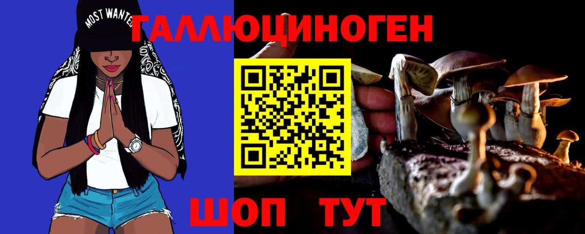 Псилоцибиновые грибы мицелий  Вход с VPN  Галлюциногенные грибы Psilocybe  Зима 